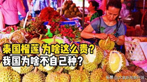 91华人国产,融合创新，共筑繁荣未来